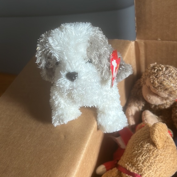 BEANIE BABIES - Picture 8 of 12